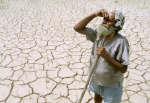 Drought worst in a decade, says govt. Photo: Reuters