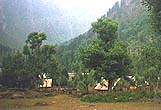 refugees camp