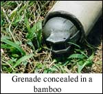 Grenade concealed in bamboo