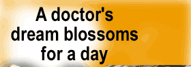 A doctor's dream blossoms for a day