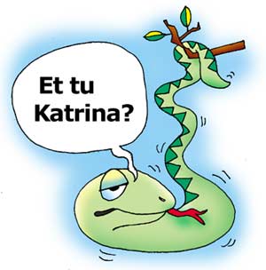 Et tu Katrina?