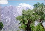  Grassy Alpine
meadow high above Chitkul